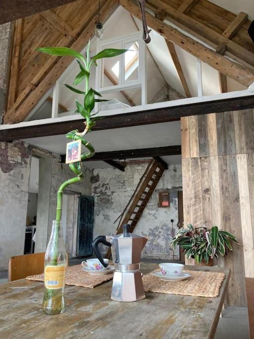 Schuurloft Hof Ten Bogaerde Met Biozwembad, Veldzicht & Uilennest Jabbeke  Exteriér fotografie